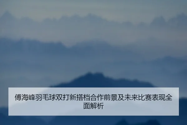 傅海峰羽毛球双打新搭档合作前景及未来比赛表现全面解析 | LEYU SPORTS